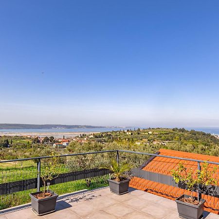 Larabella Salt Fields View Studio Portorož Eksteriør bilde