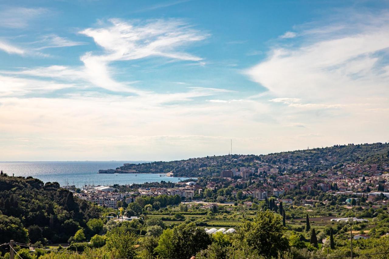 Larabella Salt Fields View Studio Portorož Eksteriør bilde